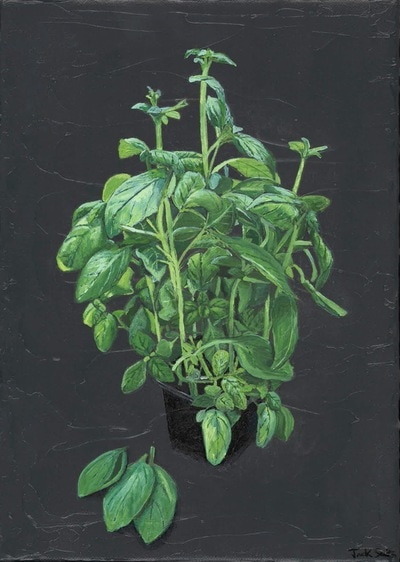 Still life painting of basil by Jack Smith. Acrylic on canvas. 