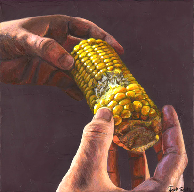 Still life painting of sweetcorn by Jack Smith. Acrylic on canvas.